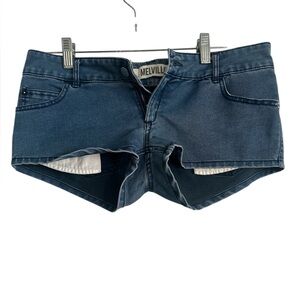Brandy Melville Denim Shorts